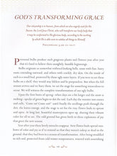 Load image into Gallery viewer, Devotions From the Garden