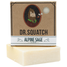 Load image into Gallery viewer, Dr. Squatch Alpine Sage 5oz Men's Bar Soap