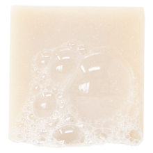 Load image into Gallery viewer, Dr. Squatch Alpine Sage 5oz Men's Bar Soap