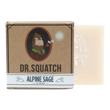 Load image into Gallery viewer, Dr. Squatch Alpine Sage 5oz Men's Bar Soap