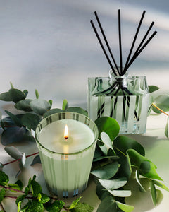 NEST Wild Mint & Eucalyptus Classic Candle