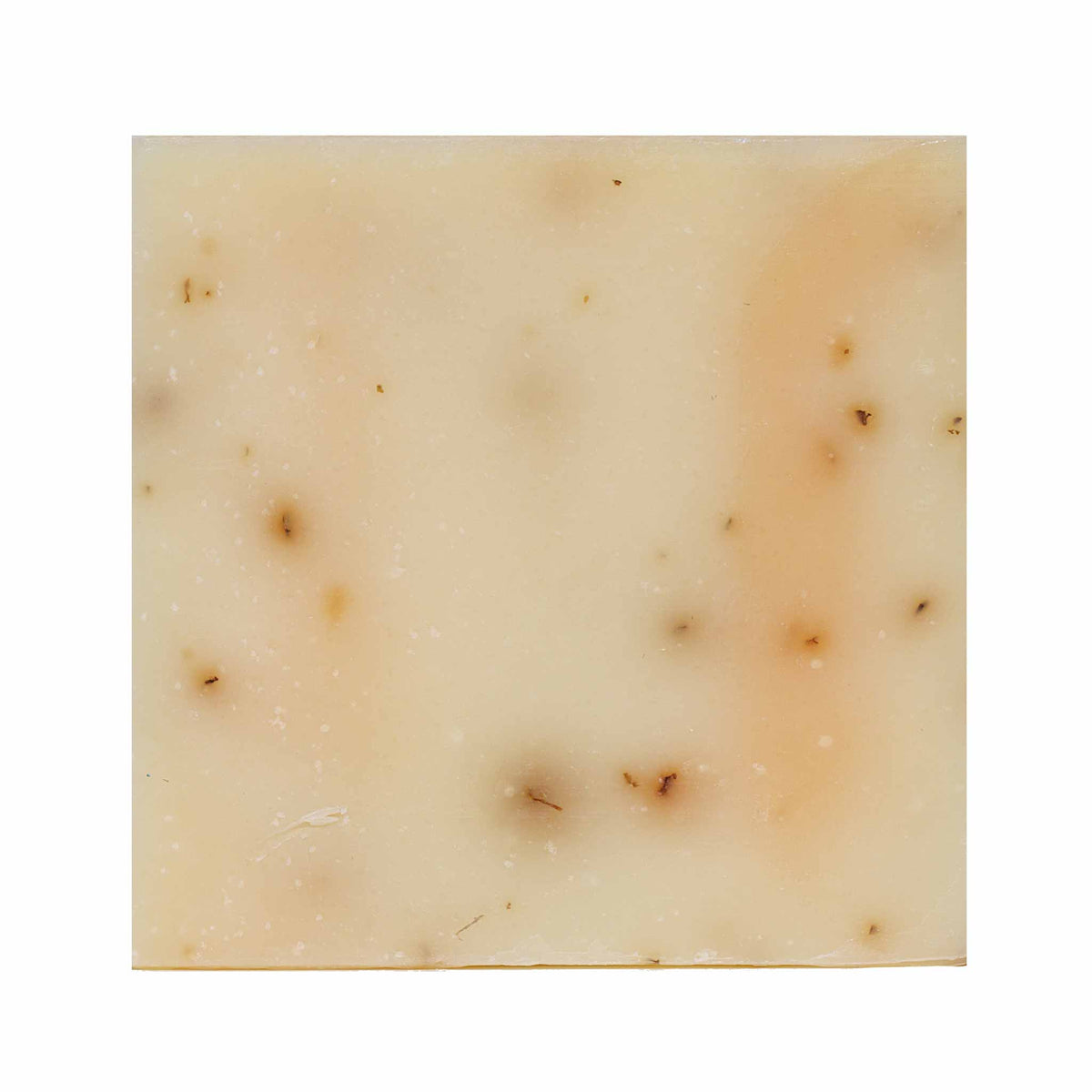 Dr. Squatch - Bay Rum Soap Bar I The Kings of Styling