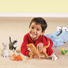 Load image into Gallery viewer, Jumbo Pets