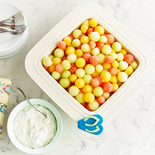 Load image into Gallery viewer, Sunning & Funning Flip Flop Nora Fleming Mini