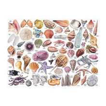 Load image into Gallery viewer, The Beachcomber's Companion 1000pc Puzzle