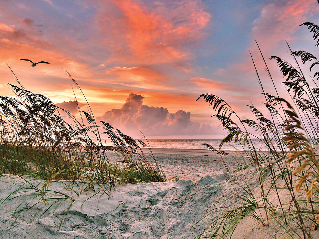 Dancing Sea Oats 500 Piece Puzzle