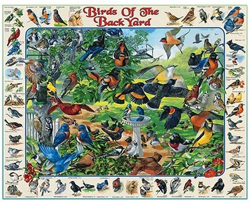 Birds of the Back Yard 1000 Piece Puzzle