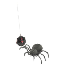 Load image into Gallery viewer, Odyssey Creepy Critters Spooky Spider
