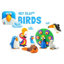 Load image into Gallery viewer, Hey Clay - Birds
